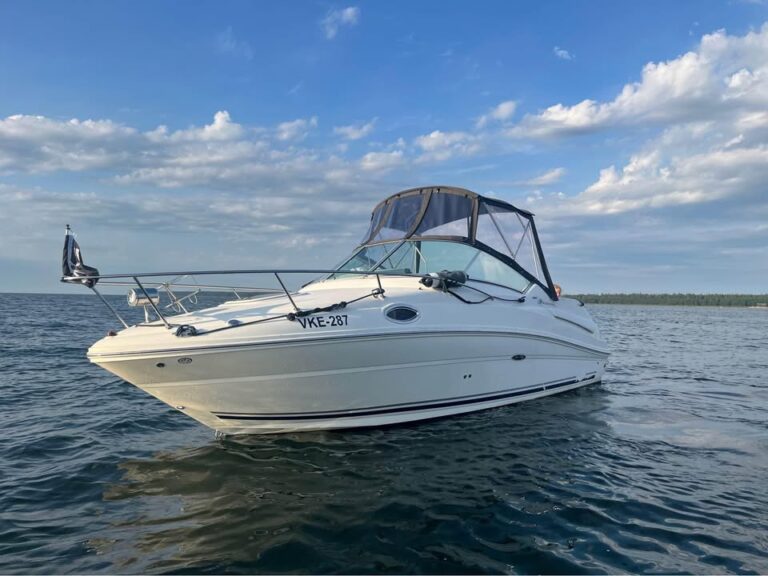 Sea Ray Sundancer 240 (2006)
