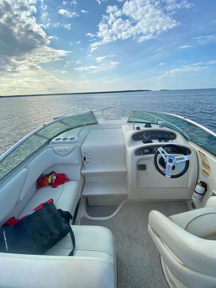 Sea Ray Sundancer 240 (2006) 2